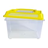 Insekten-Beobachtungsbox | Große, transparente Naturbeobachtungsbox mit Lüftung und Tragegriff | Ideal für Insekten, kleine Tiere & Wasserlebewesen