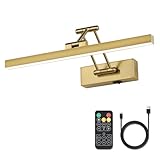 Pasoar Bild Licht Batteriebetriebene Messing 40CM lange wiederaufladbare Wandleuchten Dimmbare LED Bibliothek Licht mit Swing Arm und Timer Funktion Akku Wandleuchte Innen Gold Farbe
