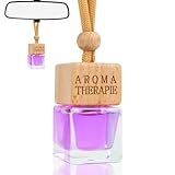 Auto Lufterfrischer,Auto Duft Innenraum, Autoduft,Rituals Auto Duft,Auto Parfüm,Auto Lufterfrischer Innenraum,Autoduft Neuwagen,Duftbaum Aufhänger Diffusor,Dekoration der Diffusorflasche (2, 10ml)