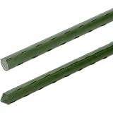 BROWIN® Pflanzstäbe | 10 Stück | Rankhilfe für Pflanzen 720443 | Pflanzenhalter | Tomaten rankhilfe mit Pflanzenstütze, Rankgitter für Garten | 1,5m Ø 8mm | Pflanze für Blumentöpfe