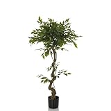 hjh OFFICE Kunstpflanze FICUS I Deko Pflanze künstlich 120 cm, Birkenfeige, pflegeleichter Kunstbaum, Grün 871057