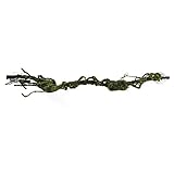 HOBBY Terraristik Liana M I 80 x 6 cm I Natürliches Aussehen I Besonders flexibel I Fühlen Sich echt an I Für baumbewohnende Reptilien und Amphibien