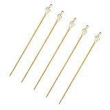 WRITWAA 5 Stück Edelstahl Grillspieß Flach 26cm Goldfarbene Schaschlikspieße für Camping Lagerfeuer Grillabende Rostfrei Wiederverwendbar