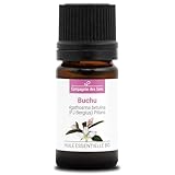 BUCHU (Agathosma betulina) BIO - 5ml - Premium-Qualität Ätherisches Öl - 100% Rein, Natürlich, ChromaCert® Garantie - Chemotypisiert & Vollspektrum