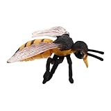 ibasenice Bienentiermodell für kinderspielzeug Honigbienenfigur Früher pädagogische Insektenspielzeug Kleine Bienen-Basteldekoration Statue des Lebenszyklus von Insekten