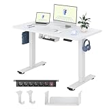 FlexiSpot Höhenverstellbarer Schreibtisch Basic–Mit Kabelmanagement, Haken und EINTEILIGER Tischplatte, Ergonomischer Homeoffice-Tisch, Bürotisch (120x60cm, Weiß)