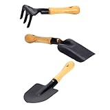 LALADEFIEE 3 Stück 3 teiliges Mini Gartenwerkzeug Langlebige Bonsai Schaufel und Rechen Ergonomisch Leicht für Blumen Topfpflanzenpflege Gartenspielzeug für Jungen und Mädchen