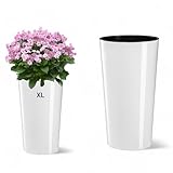 MELTOM Blumenkübel Hochglanz mit Herausnehmbaren Einsatz Rund Blumentopf Pflankübel Slim (XL)