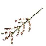 Gry & SIF Beeren-Zweig aus Filz, Flexibler Stiel, Deko-Zweig, Kunst-Zweig mit Beeren,handgemachte Herbstdeko | 1x Zweig mit rosa Beeren, 60cm