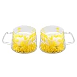 LeKuni 2er-Pack Latte Macchiato Gläser Mit Trockenblumen, 200ml Doppelwandige Gläser, Espressotassen Thermogläser Doppelwandig Cappuccino Tassen, Für Tee,EIS,Eistee,Iced Americano,Milch,Saft -Gelb