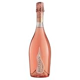 Bottega Il Vino dei Poeti Venezia DOC Spumante Brut Rosé Sekt - 750ml