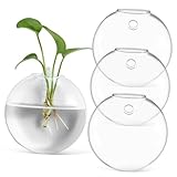 VANZACK 4 Stück Wandvase klare Blumenvase Ausbreitung Vasen hängende Pflanzgefäße für Zimmerpflanzen Bürodekor-Vasen Wandpflanzenhalter Halter für Wasserpflanzen Kugelvase Glas Transparent