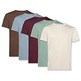 PinkTex Herren T-Shirt (5er Pack) Bio-Baumwolle, Sand/Salbeigrün/Dunkelrot/Pastellblau/Braun, L