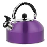 Pfeifender Teekessel - Pfeifkessel Teekessel aus Edelstahl für das Grillen von Camping zu Hause | Pfeifkessel für Tee, Kaffee und Wasser