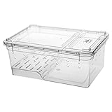 GRIRIW Großes Terrarium Mit Praktische Reptilien Lebensbox Für Schildkröten Und Frösche Transparentes Aquarium Für Artgerechte Haltung Und Lebensraumgestaltung