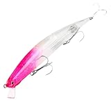 Pinafresa Meeresfischerei Lure Salzwasser Jerkbait 175 Mm/27G Langsamer Suspending Köder für Surffischerei Heilbutt B