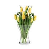 TREND FOR HOME Blumenvase Vase Glas 19 cm Glasvase für Blumen Glasblumenvase Tischvase Dekovase Klarglasvase Deko-Vase aus Glas Wohnzimmer Deko Dekorative Vase | Aster | 1325 ml