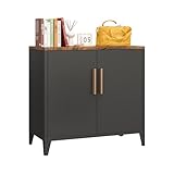 Sightlife Metallschrank Aufbewahrungsschrank Metall kommode Sideboard Küchenschrank Balkonschrank Beistellschrank Gartenschrank Aktenschrank Flurschrank Verstellbarer Einlegeboden 40T x 80B x 76H cm