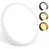 AUINSKY Tageslichtlampe 10000 Lux, Lichttherapielampe mit 3 Farbtemperaturen, 5 Helligkeiten und 4 Timer-Einstellungen, Toutch-Bedienung, UV-Freie Sonnenlampe für den Arbeitsplatz oder Zuhause