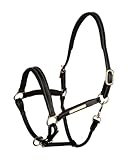 Lederhalfter Landscape