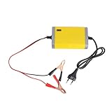 MUELODSIC 12V Autobatterie Ladegerät mit Anzeige für Motorräder und Automobile Eu Stecker Schnelle Automatische Spannungserkennung Mehrfache Sicherheitsfunktionen
