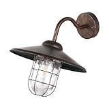 EGLO Außen-Wandlampe Melgoa, 1 flammige Außenleuchte, Wandleuchte aus verzinktem Stahl in Rostoptik und Glas, E27 Fassung, IP44