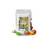 Vriends Veggie Hundefutter 1,5 kg | Veganes Trockenfutter für Hunde | Getreidefreies Vollnahrungsmittel ohne Geschmacksverstärker | Moralisch und Nachhaltig 1500g
