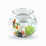 Mobiclinic® Pets, Kugelaquarium, Nemo, 4 Liter, Pet eco Kunststoff, Transparentes Design, 20x20x17, 5cm, Leicht zu reinigen, Robust, Ideal zur wohnungsdekoration, Wasserpflanzen