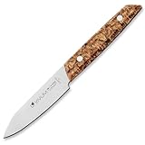 F. DICK Officemesser VIVUM 10 cm - rostfrei, Klinge extra scharf, 58 HRC, klein, Birkenholz Designgriff komfortabel - Spezialstahl Küchenmesser - Profi Messer Made in Germany - 83647102H