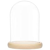 BELLE VOUS Glasglocke mit Holzboden - 20cm hohe Glaskuppel mit Holzboden - Glasglocke Groß Deko - transparente Glas Glocke - Glaskuppel Deko - dekorative Glashaube
