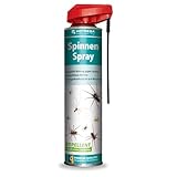 HOTREGA Spinnen Spray 600 ml | Zuverlässige Spinnenabwehr in Haus, Keller und Lager | Langzeitwirkung bis zu 8 Wochen | Gebrauchsfertig