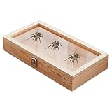 Birtern Holz-Proben-Vitrine, Schmuck-Aufbewahrungsbox, Ohrringe, Ringe, Halsketten, Organizer, Vitrine mit Deckel für Armbänder