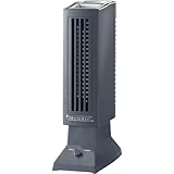 P3 International Luft-IONIZER