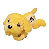 LED-Welpe, beleuchtetes Welpenspielzeug – Spielzeug für Welpen, glänzend, 35,6 cm (14 Zoll), beleuchtet, Welpen, Plüschhund, Plüsch, weiches Spielzeug, Nachtlicht für Schlafbegleiter