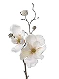 artplants.de Deko Zweig Magnolien Zweig MALBINE, 2 Blüten, Creme, 50cm - Deko Zweig - Kunstzweig