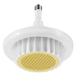 HOHOVYVY Heizlüfter,600 W Elektrische Heizlüfterleuchte Deckenmontierte Innenheizung 9,65 X 8,66 Zoll(C)