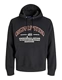 JACK&JONES JORFREDERIKSBERG Margate Sweat Hood BF