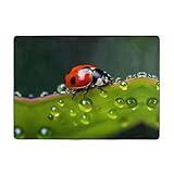 WZYCWB Marienkäfer-Teppich mit sieben Sternen, 203,2 x 147,3 cm, weicher und flauschiger Kurzflor, geeignet für Wohnzimmer, Büro, Nachttisch, Balkon