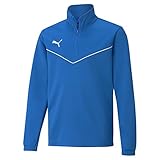 PUMA Jungen Teamrise 1/4 Zip Top Jr Sweatshirt, Electric Blue Lemonade, 164 EU