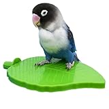 Vogel Sitzstange Für Käfig | Papageienspielplatz Mit Blattförmigen Elementen,Zubehör Für Ziervögel, Krallenpflegestange Für Sperlinge, Wellensittiche, Großsittiche Und Nymphensittiche