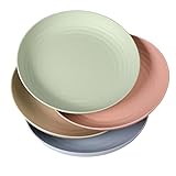 WANBY Leichte Kunststoffplatten Groß Unzerbrechlich Abendessen Wiederverwendbar Teller Platten Set Nichttoxin Geschirrspüler & Mikrowelle Safe und Gesund (23cm 4 Stück)