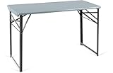 Stagecaptain BBT-119 GY Hirschgarten Bierzelttisch 119 cm - Robuster, kurzer Biertisch (119 cm lang) - Lackierte Oberfläche - Zusammenklappbar - Einfach zu verstauen und transportieren - Grau
