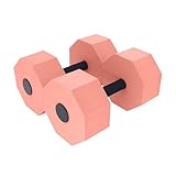 Aqua-Fitness Gewichte - 1 Paar Wasser Gewichte Pool Trainingshanteln - Hochdichte Trainingshanteln Mit Griffmulden Für Erwachsene Nach Der Schwangerschaft Und Indoor-Training