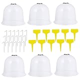 PAMINGONO 6 Stück Teiliges Pflanzglocken Erdankern und Wetterfesten Pflanzetiketten Atmungsaktive Pflanzenhauben zur Frostschutz Feuchtigkeitsbewahrung für Anzucht und