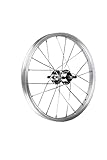 BERETTACERCHI Unisex – Erwachsene Rad 16x1,75 ALLE. HINTEN (Nabe 110mm Silber), BLAU
