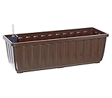 Dehner Blumenkasten Aqua-Flor Plus mit Bewässerungssystem, ca. 58.5 x 22 x 19 cm, Kunststoff, braun