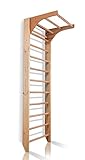 Kletterwand, Sprossenwand, Holz Turnwand Kombi-1-220 Klettergerüst Indoor, Kletterturm, Kletternetz, Sportgerät, Gym, Turngeräte für Zuhause, Fitness Sprossenwand