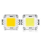 LED-Chip-Perlen, 10 W, 20 W, 30 W, 50 W, 100 W, Leuchtdiode, Kaltweiß, Warmweiß, LED-Matrix für Flutlampen, Basteln, Kaltweiß, 20 W, 2 Stück