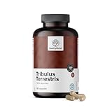 HealthyWorld® Tribulus Terrestris - Erd-Burzeldorn 1920 mg - 180 pflanzliche Kapseln - 90% Saponine - Pflanzenextrakt - Für über 2 Monate