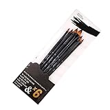 Gonetre Acryl-Pinsel-Set, Aquarellpinsel, Künstler-Pinsel-Set, Professionelle Weiche Nylonborsten, Mehrzweck-Malpinsel-Set für Künstler, Studenten, Teenager, 6-teilig (Katzenzunge)